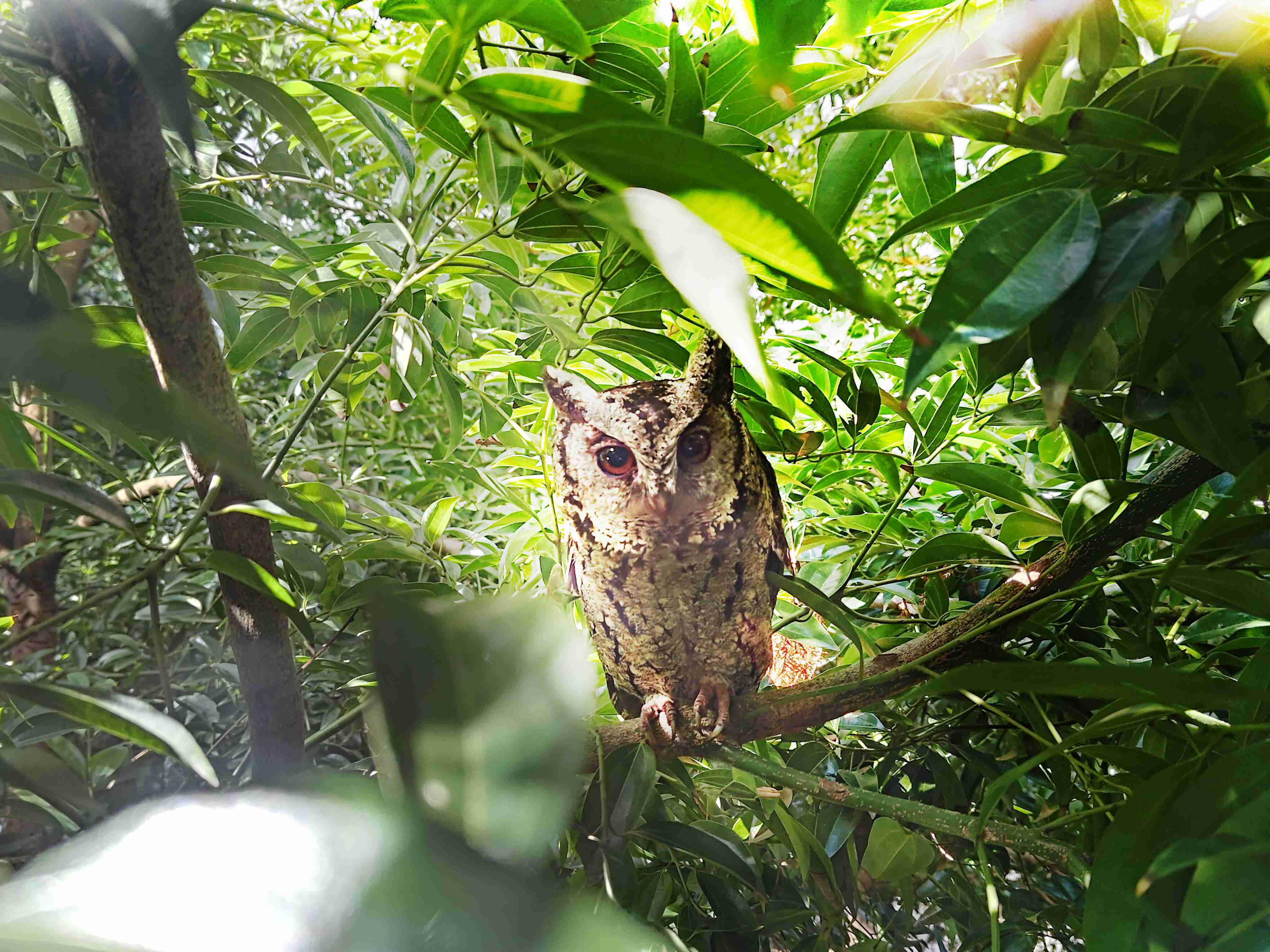 尊时凯龙致力提倡净零绿生活，，16年以来在全球各厂区植树逾百万棵，，造就各厂区树木蔚然成林，，，犹如森林工厂，，成为许多生物的栖息地